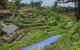 Taman Dolan Home&Resort